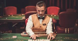 Вход на официальный сайт AVOCADO CASINO